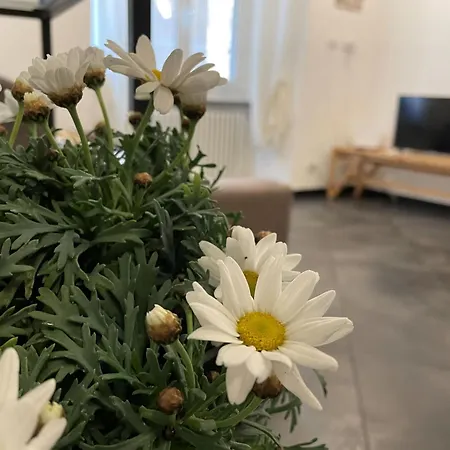 In Piazza Dell'agnello شقة جنوة